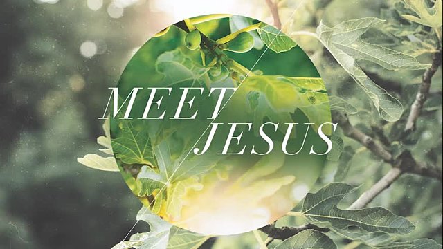 What Jesus Finds vs. What Jesus Seeks